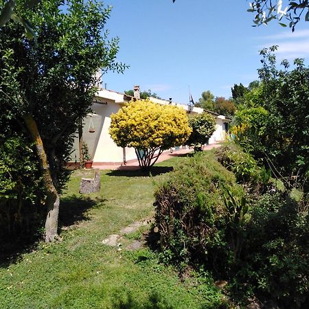 Agriturismo Le Colline Di Capalbio Eksteriør billede