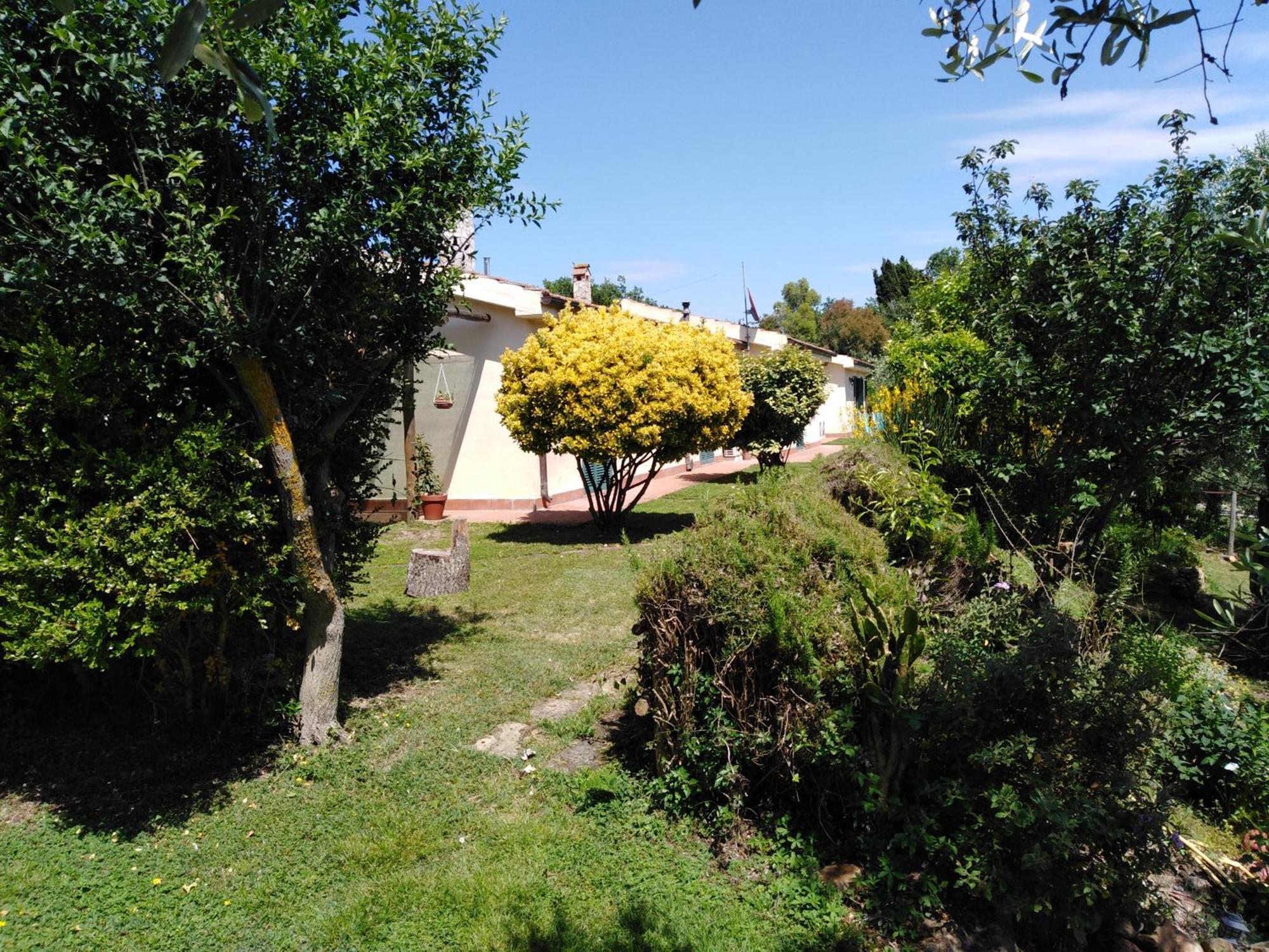 Agriturismo Le Colline Di Capalbio Eksteriør billede
