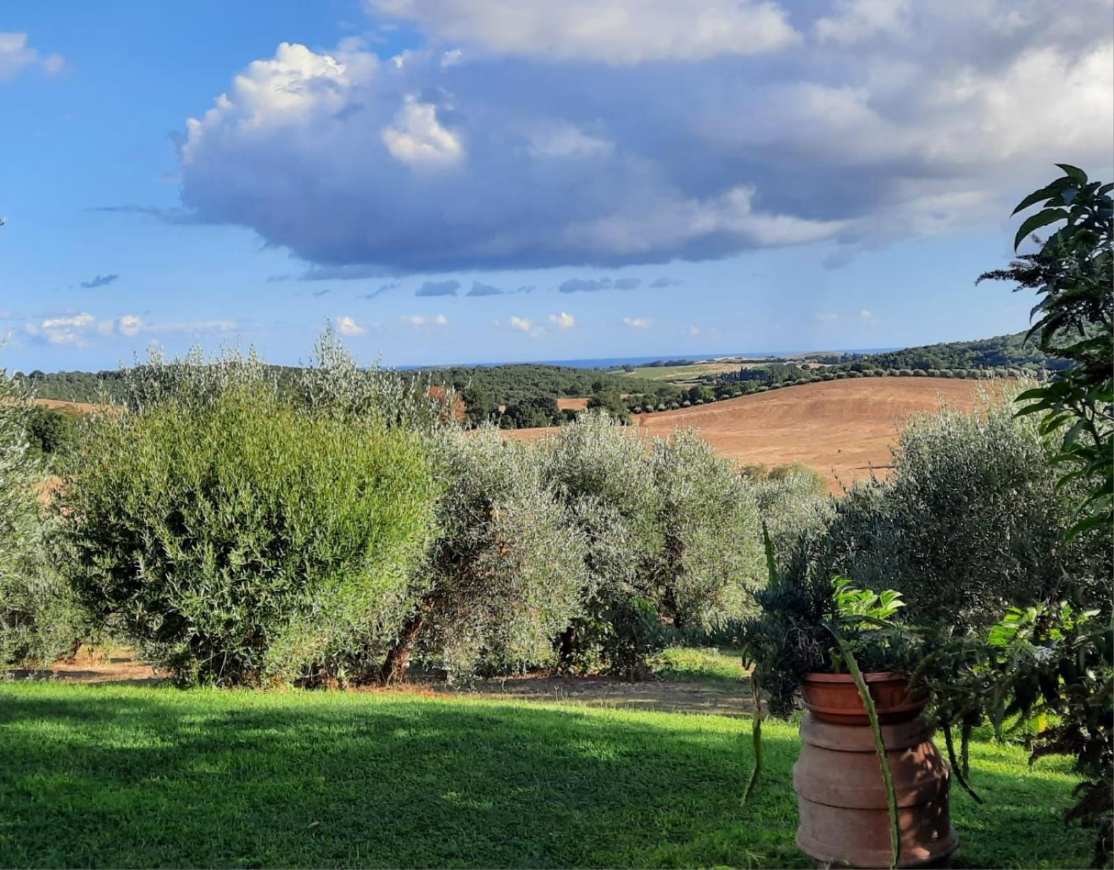 Agriturismo Le Colline Di Capalbio Eksteriør billede