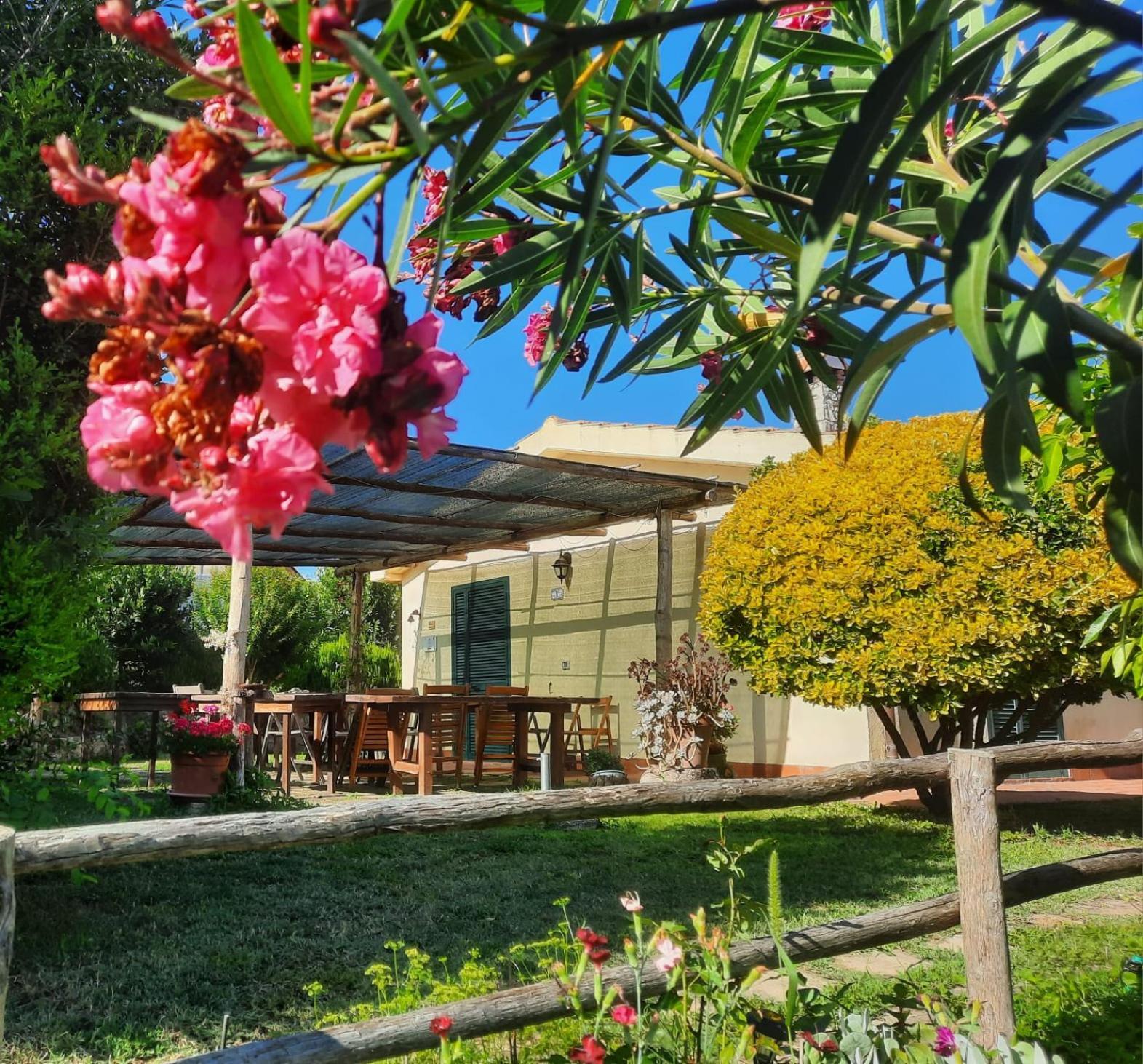 Agriturismo Le Colline Di Capalbio Eksteriør billede