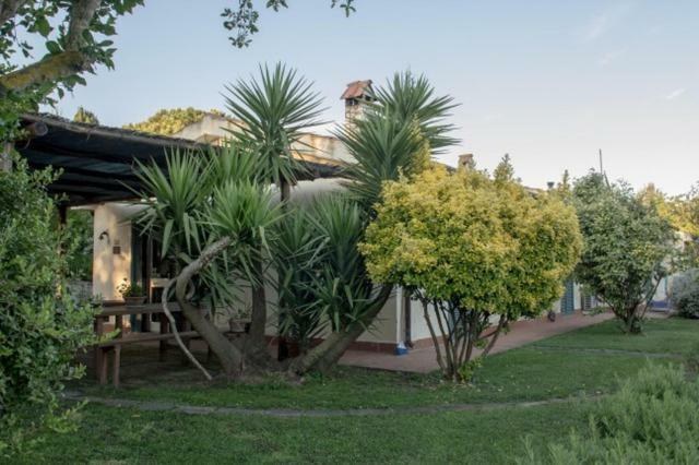 Agriturismo Le Colline Di Capalbio Eksteriør billede