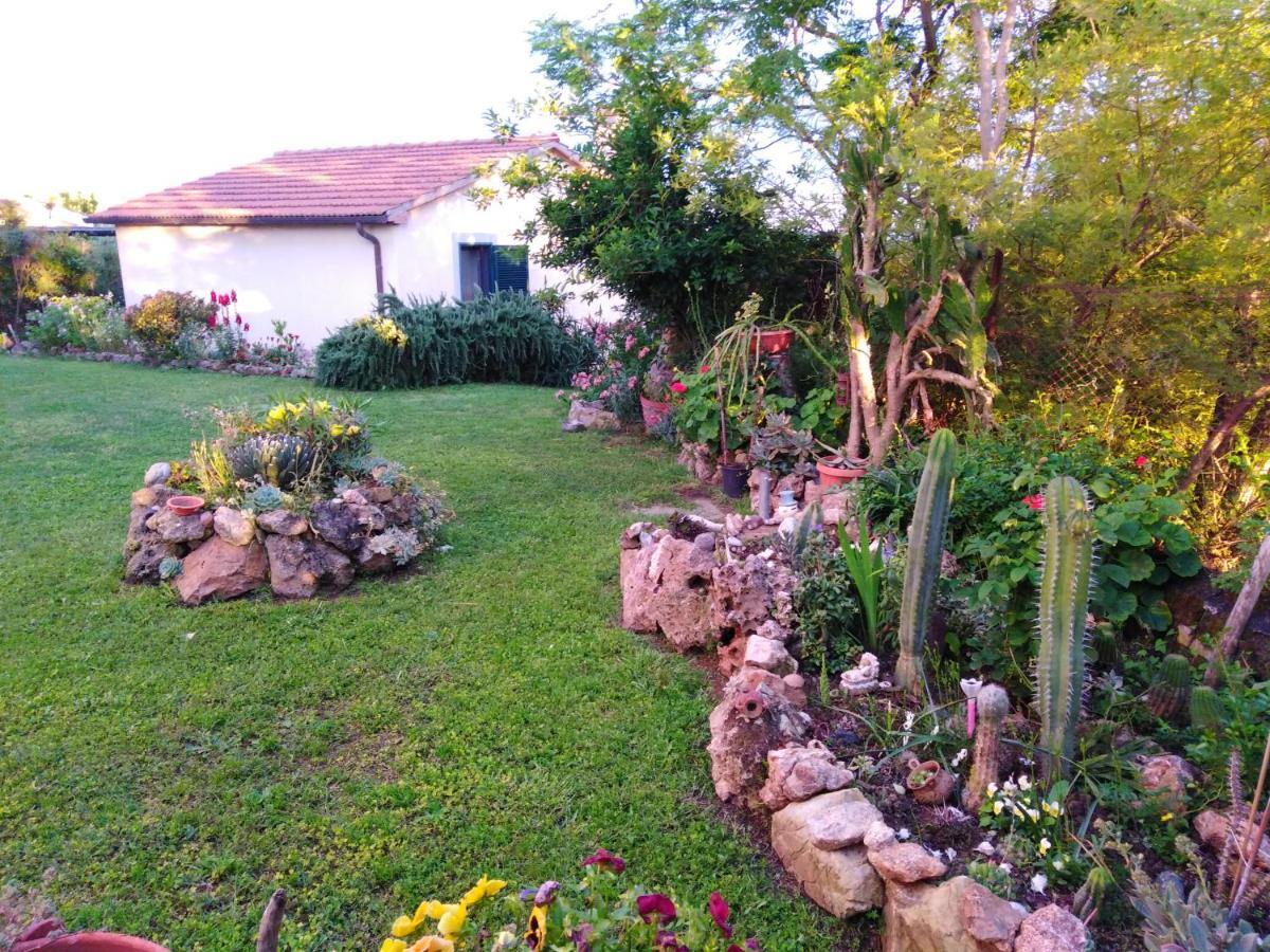Agriturismo Le Colline Di Capalbio Eksteriør billede
